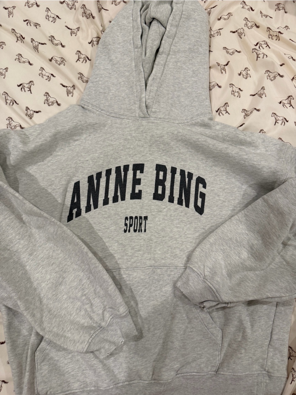 Anine bing hoodie